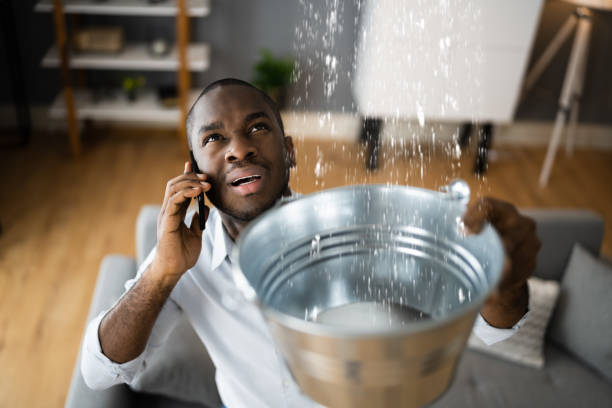 Best Professional water damage repair  in Chariton, IA