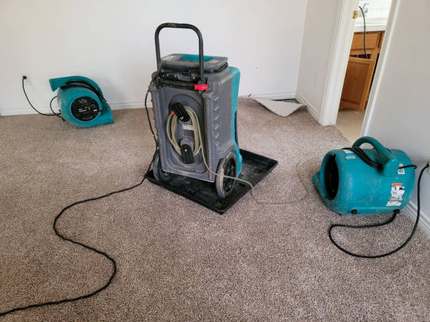 Best Carpet water damage restoration  in Chariton, IA