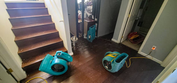 Best Emergency water damage restoration  in Chariton, IA