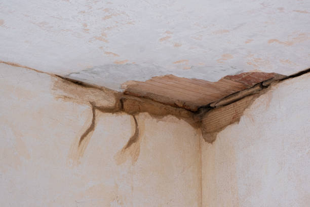 Best 24-hour water damage restoration  in Chariton, IA
