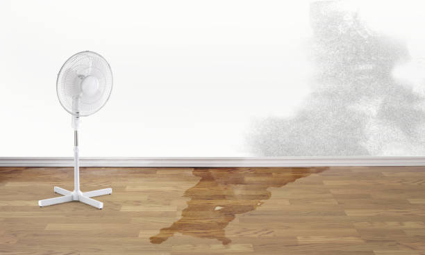 Best Water damage restoration near me  in Chariton, IA