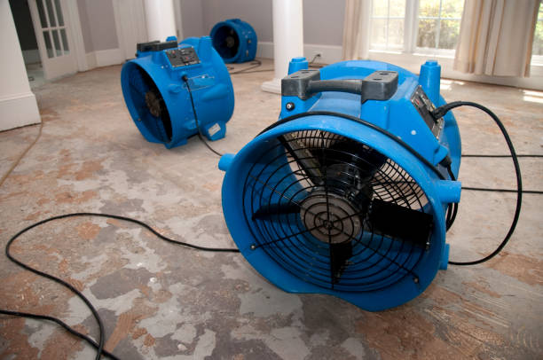 Best Water damage restoration mold remediation  in Chariton, IA