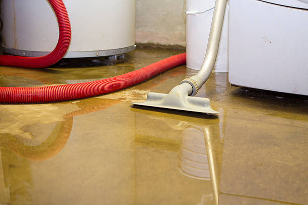 Best Water damage restoration near me  in Chariton, IA