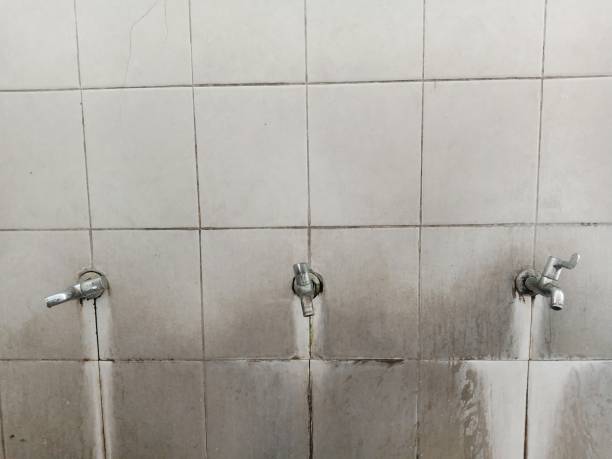 Chariton, IA Water damage restoration Pros