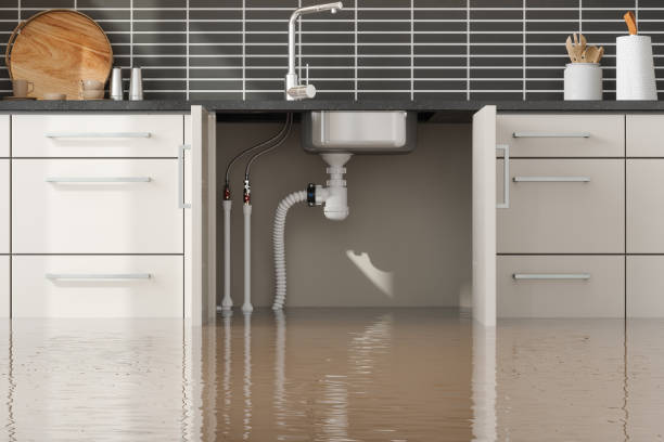 Best Commercial water damage restoration  in Chariton, IA