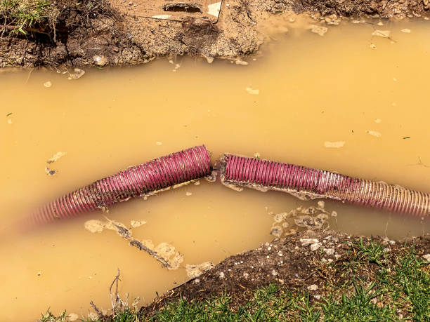 Best Residential water damage restoration  in Chariton, IA