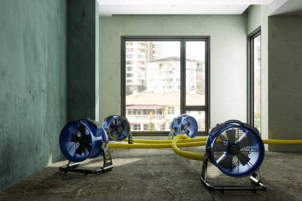Best Basement water damage restoration  in Chariton, IA
