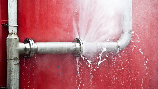 Best Sewage cleanup and water damage restoration  in Chariton, IA