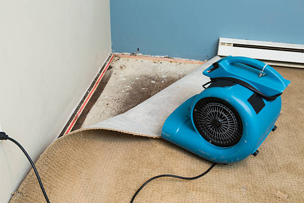 Best Water damage restoration process  in Chariton, IA